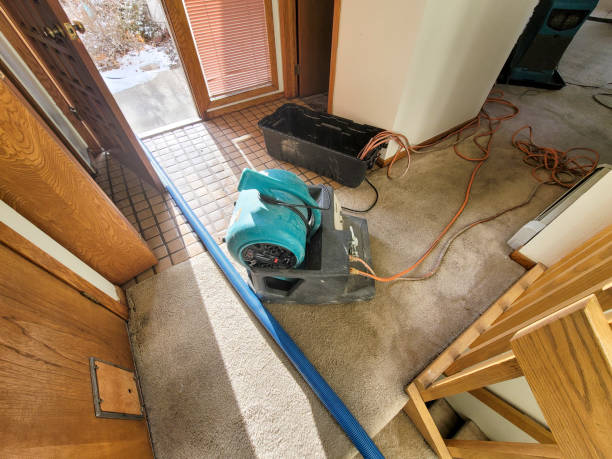 Best Water damage restoration cost  in Colville, WA