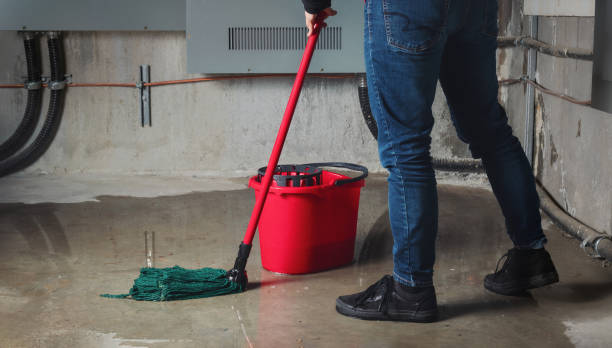 Best Sewage cleanup and water damage restoration  in Colville, WA