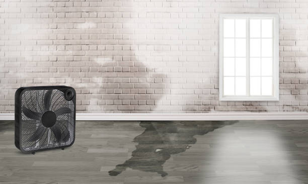 Best Water damage restoration near me  in Colville, WA