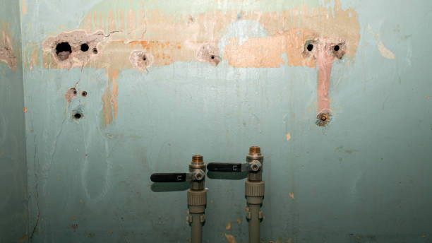 Best Basement water damage restoration  in Colville, WA