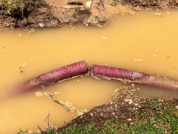 Reliable Colville, WA Water damage restoration Solutions