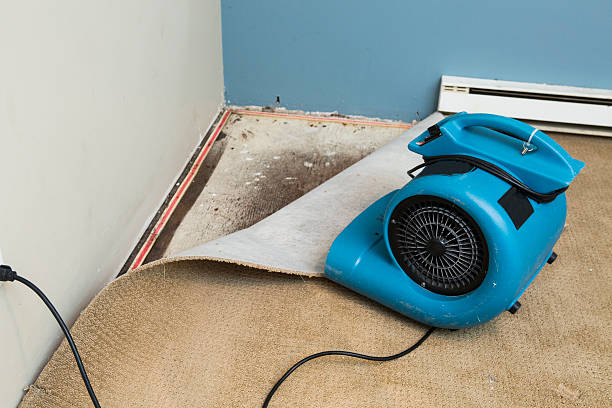 Best Flood damage cleanup  in Colville, WA